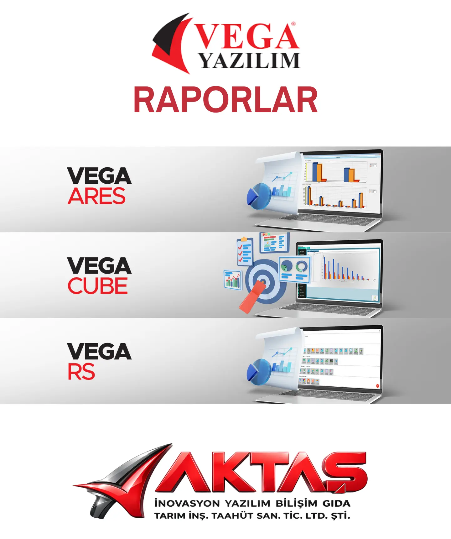 Vega Cube Veri Analizi ve Grafik Raporlama